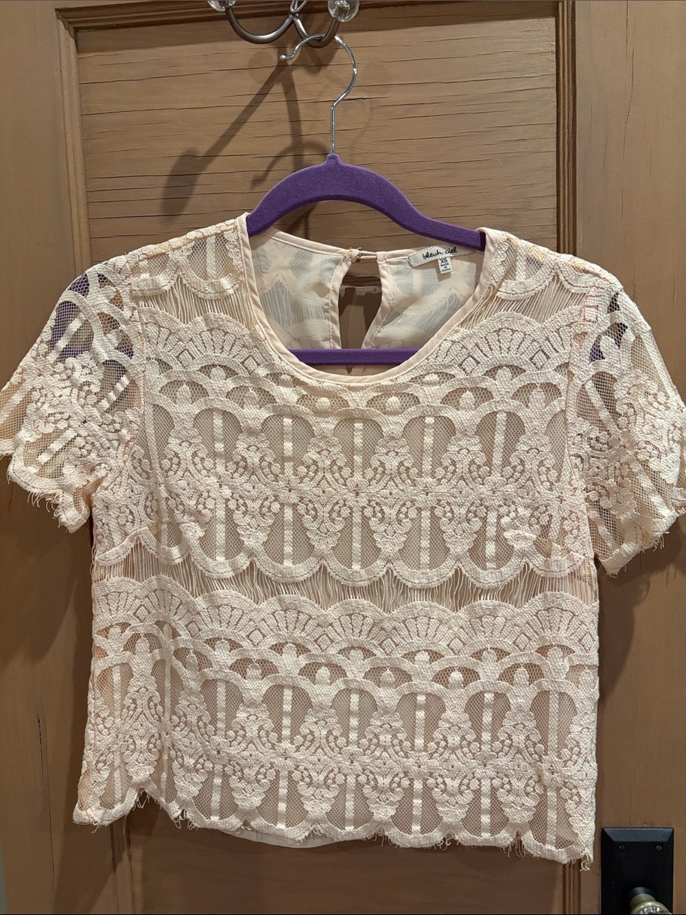 Bleuh Ciel | Pale Pink Lace Short Sleeve Top | xs